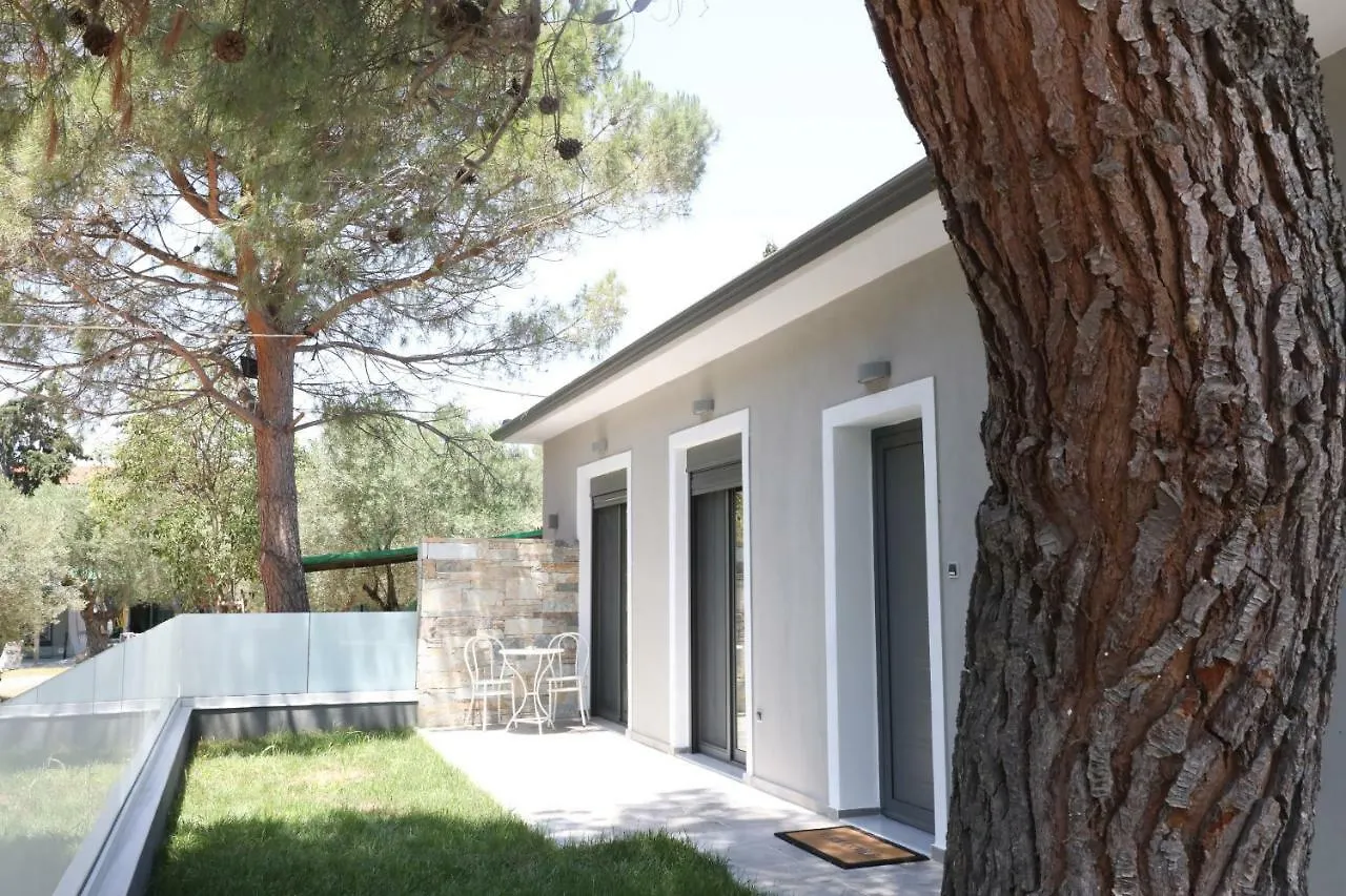 Saint George Nikiti Villas
